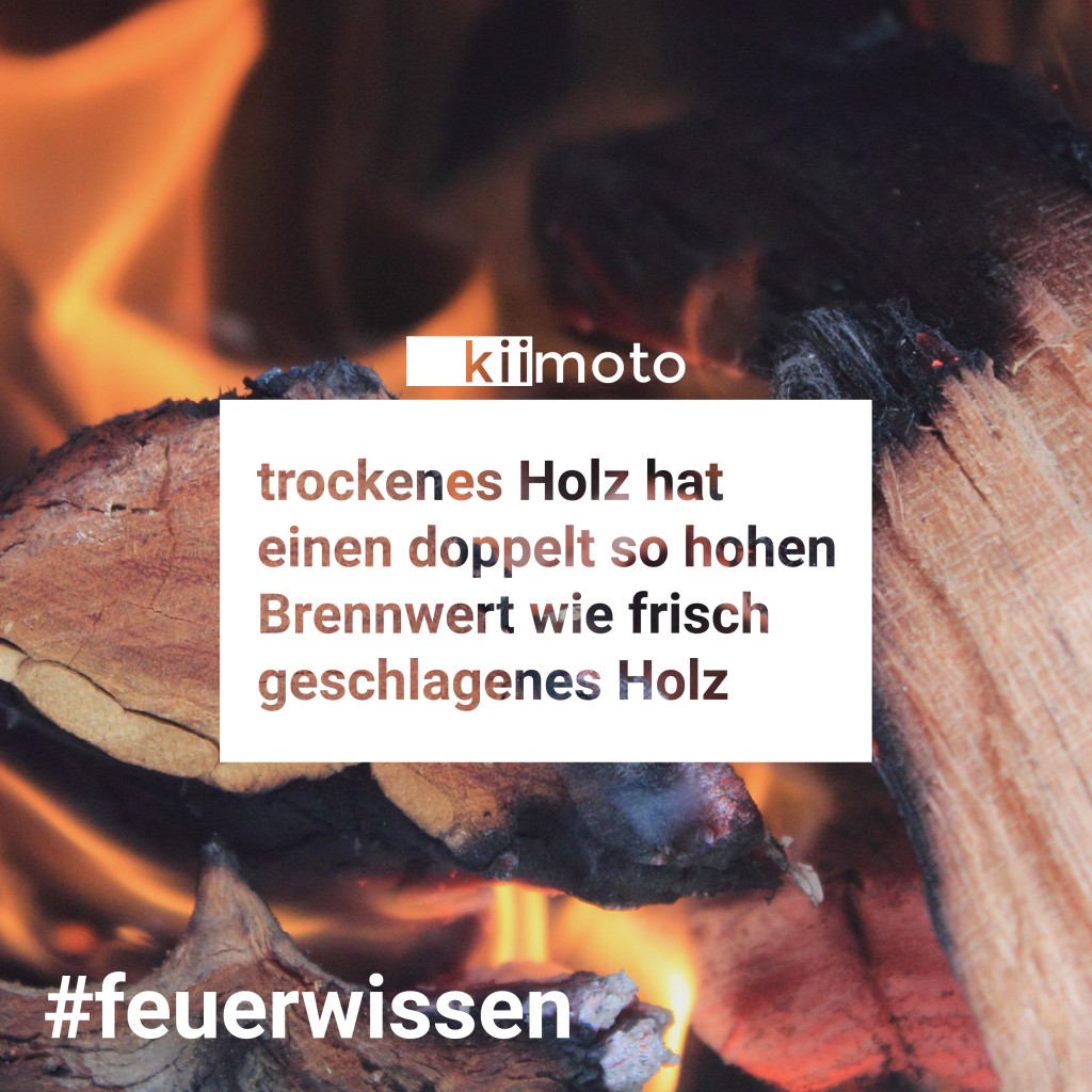 kiimoto_feuerwissen_trockenesholz